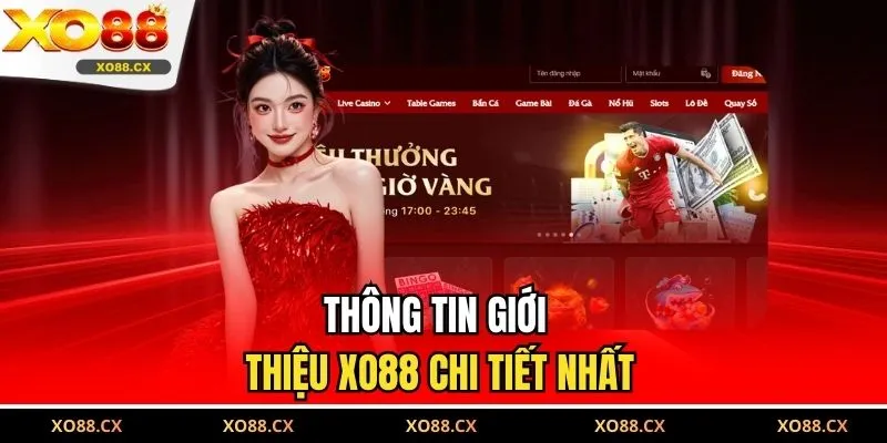 Thông tin giới thiệu XO88 chi tiết nhất